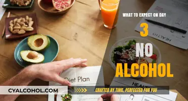 Navigating Day 3 Without Alcohol: Symptoms, Benefits, and Coping Strategies