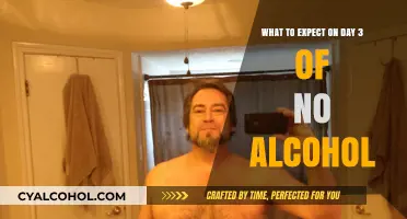 Healing Journey: Day 3 Without Alcohol