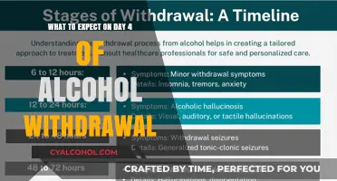 Alcohol Withdrawal: Day 4 Challenges and Symptoms