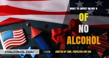 Alcohol-Free Life: Day 4 Expectations