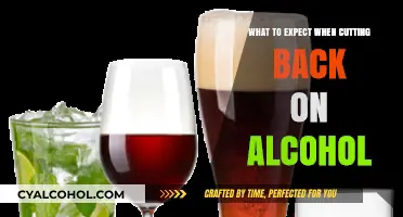 Reducing Alcohol Intake: What to Expect and How to Navigate Changes