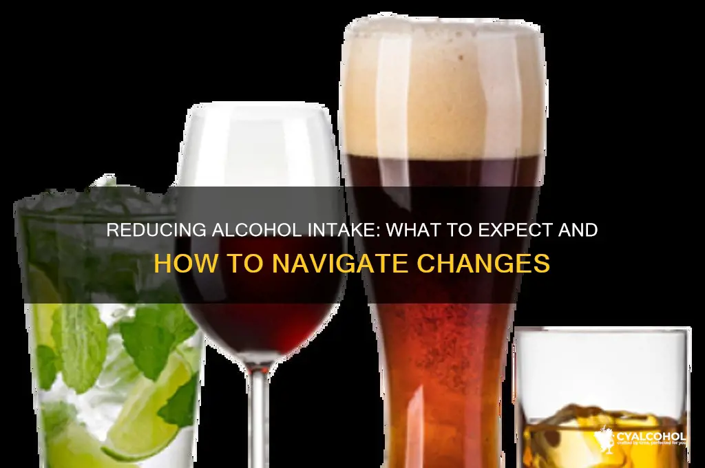 what to expect when cutting back on alcohol