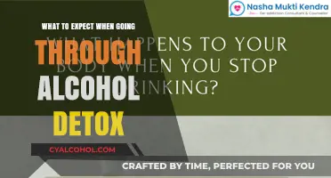 Navigating Alcohol Detox: Symptoms, Timeline, and Support for Recovery