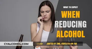 Navigating Sobriety: A Guide to Reducing Alcohol Intake