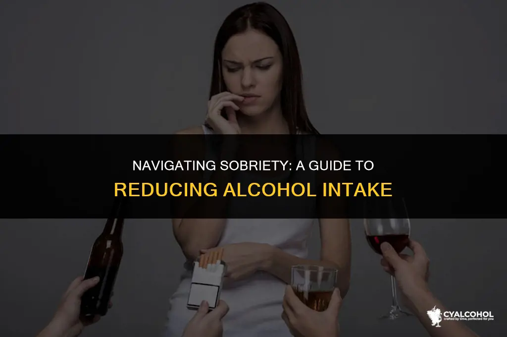 what to expect when reducing alcohol