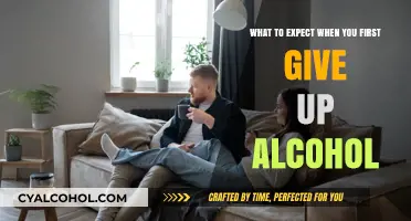 Quitting Alcohol: What to Expect in Early Sobriety