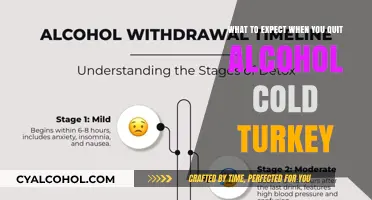 Quitting Alcohol Cold Turkey: What to Expect