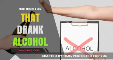 Emergency Tips: What to Do If Your Dog Ingests Alcohol