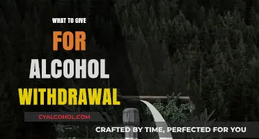 Navigating Alcohol Withdrawal: A Guide to Supportive Gifts