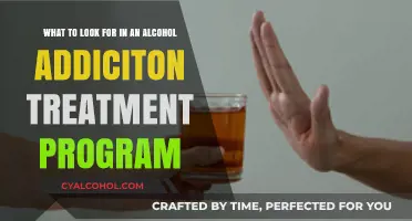 Finding the Right Alcohol Addiction Treatment Program