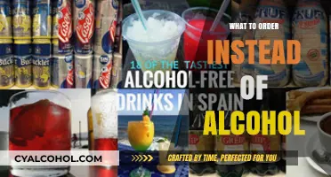 Sober Sips: Delicious Alternatives to Alcohol for Any Occasion