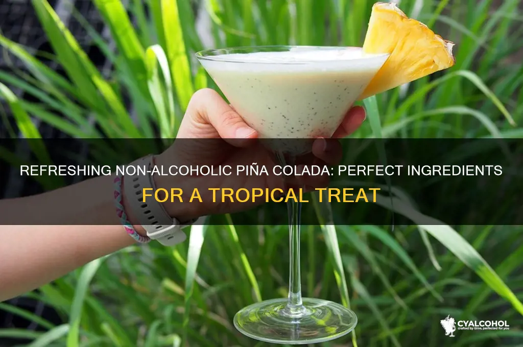 what to put in pina colada non alcoholic