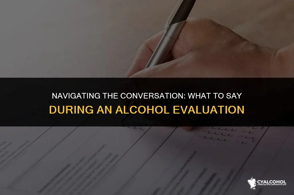 what to say at alcohol evaluation