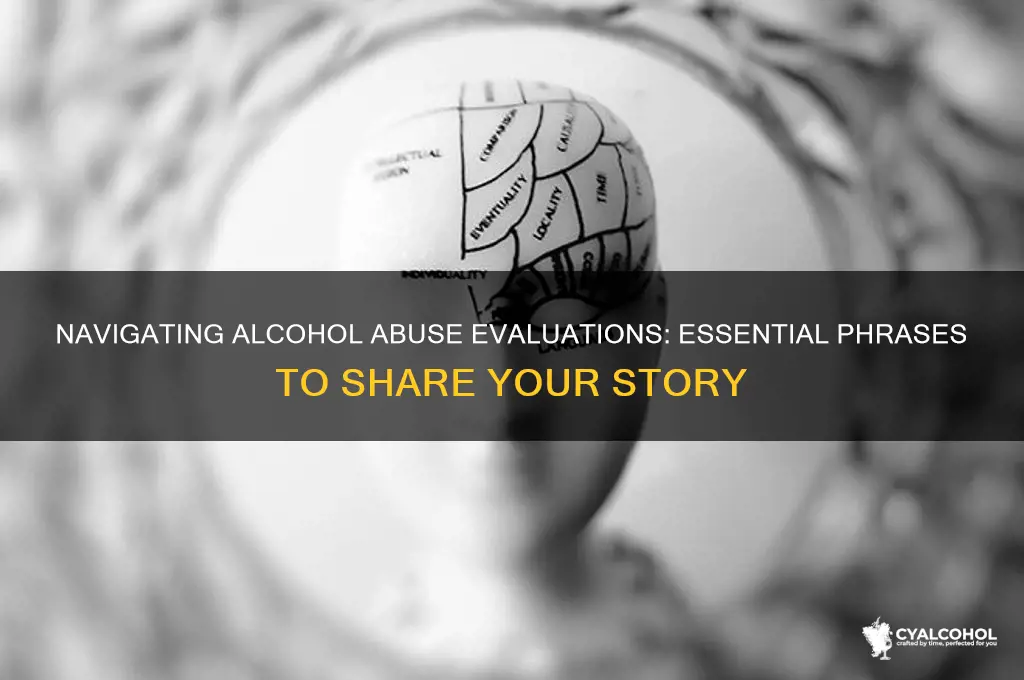 what to say during a alcohol abuse evaluation