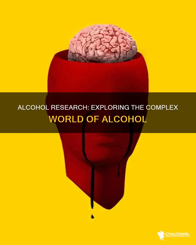 what to write about for a alcohol research paper