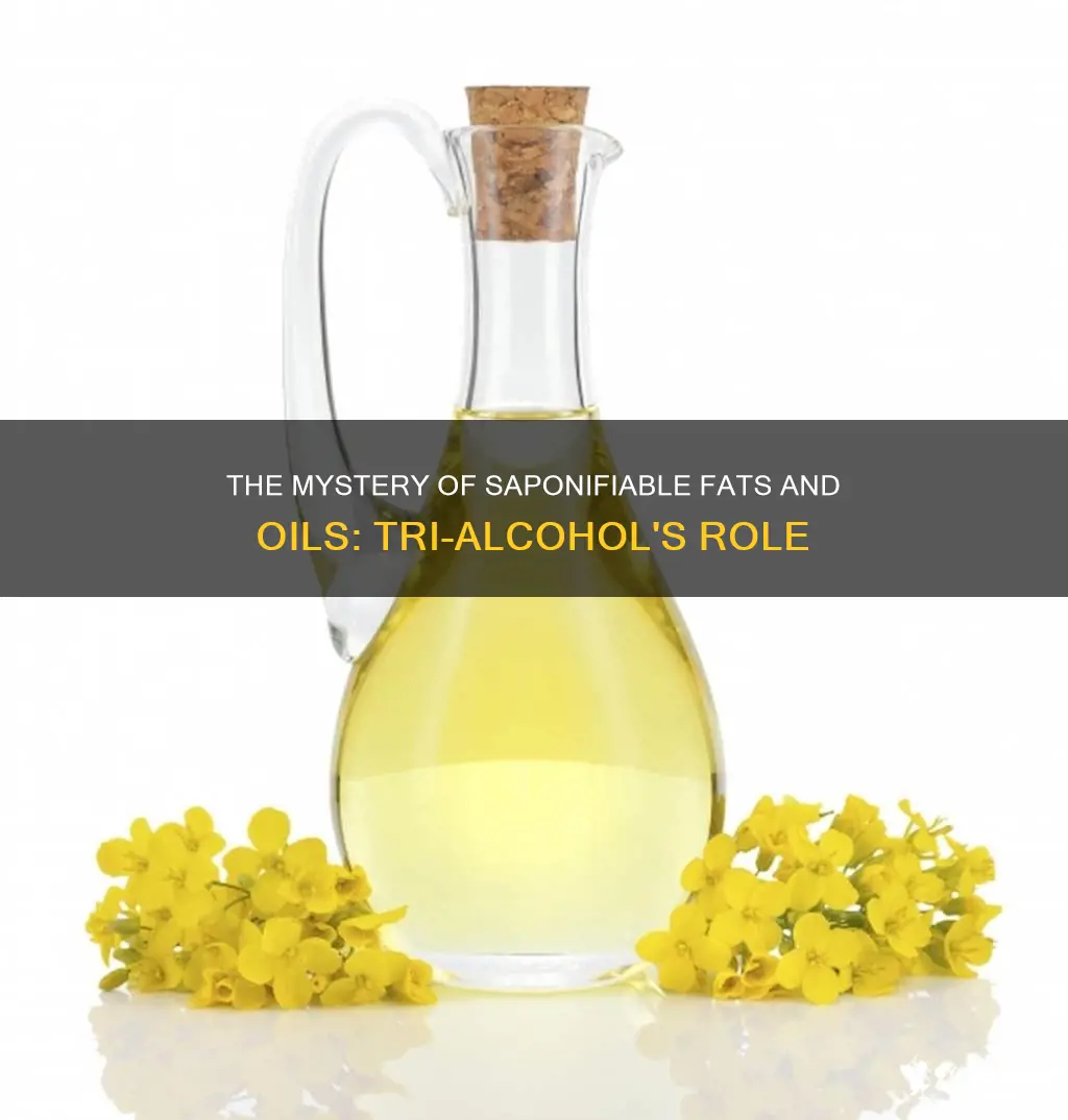 what tri-alcohol is found in all saponafiable fats and oils
