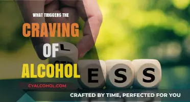 Unraveling the Mysteries: What Sparks the Desire for Alcohol?
