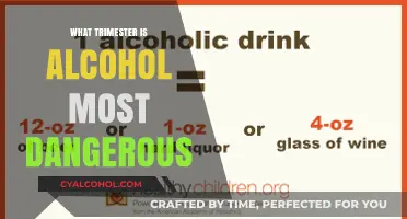 The Critical Trimester: When Alcohol Poses the Greatest Risk