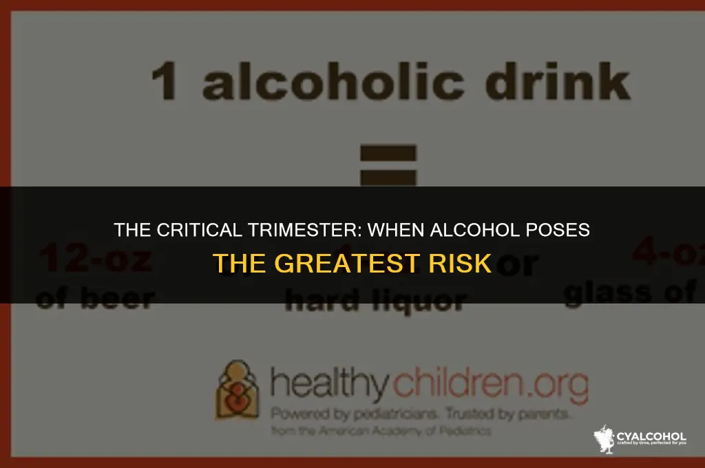what trimester is alcohol most dangerous