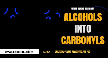 Unveiling the Transformation: How Primary Alcohols Become Carbonyls