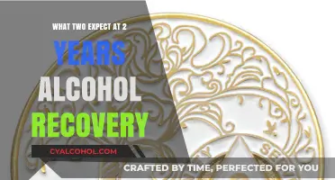Life After Alcohol: Celebrating Two Years of Sobriety and Growth