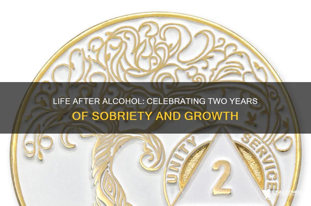 what two expect at 2 years alcohol recovery