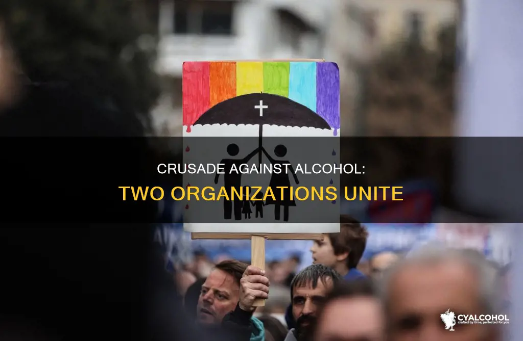 what two organization led an organized crusade against alcohol