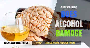 Unveiling the Hidden Dangers: How Alcohol Impacts Your Liver and Brain