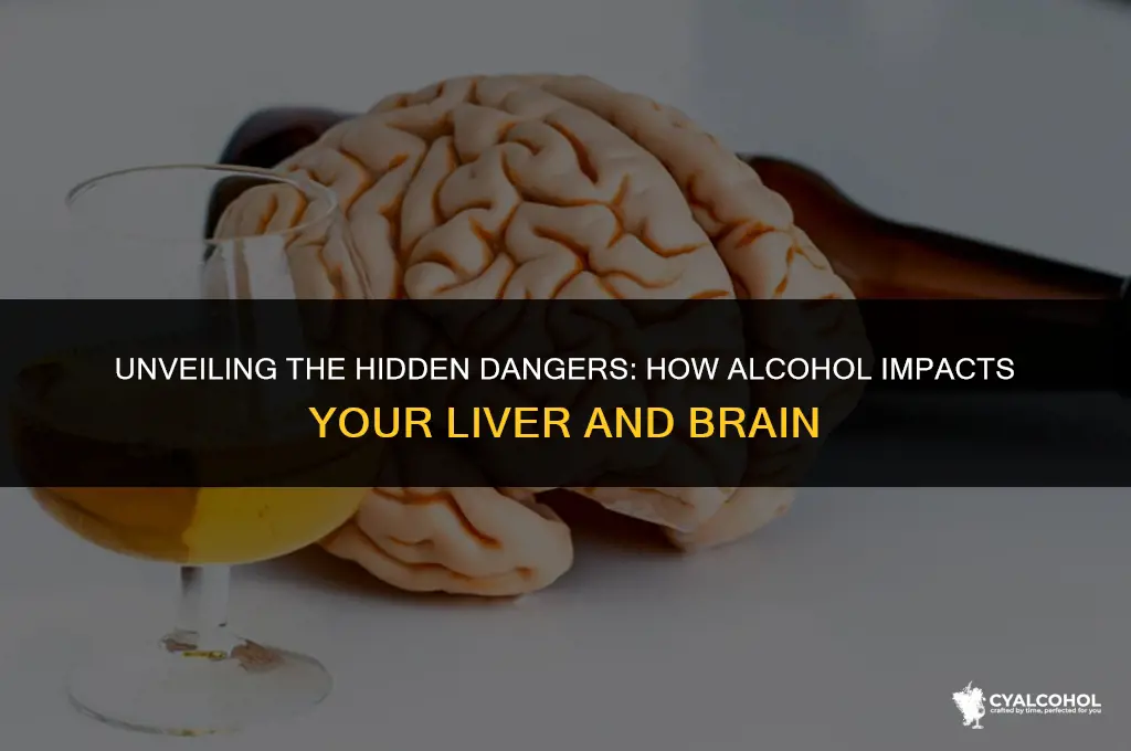 what two organs does alcohol damage