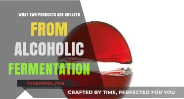 Alcoholic Fermentation Unveiled: Discovering the Two Key Products Formed