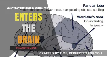 Alcohol's Impact: Brain's Double Trouble