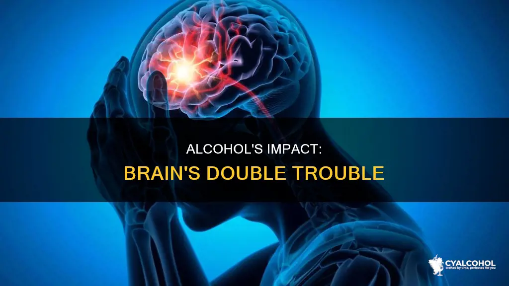 what two things happen when alcohol enters the brain
