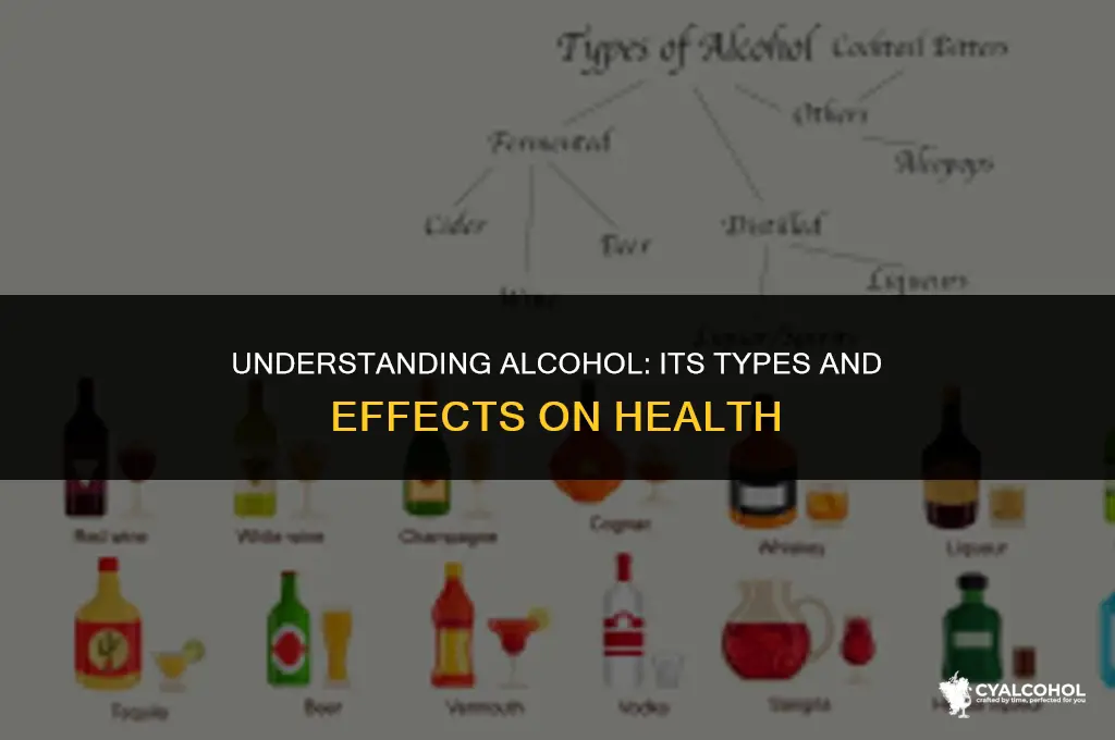 what type does alcohol fall under