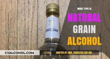 Exploring the Purity: What Type is Natural Grain Alcohol?