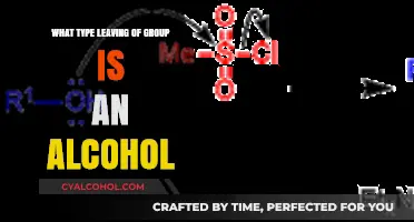 Understanding Alcohol's Role as a Leaving Group in Chemical Reactions