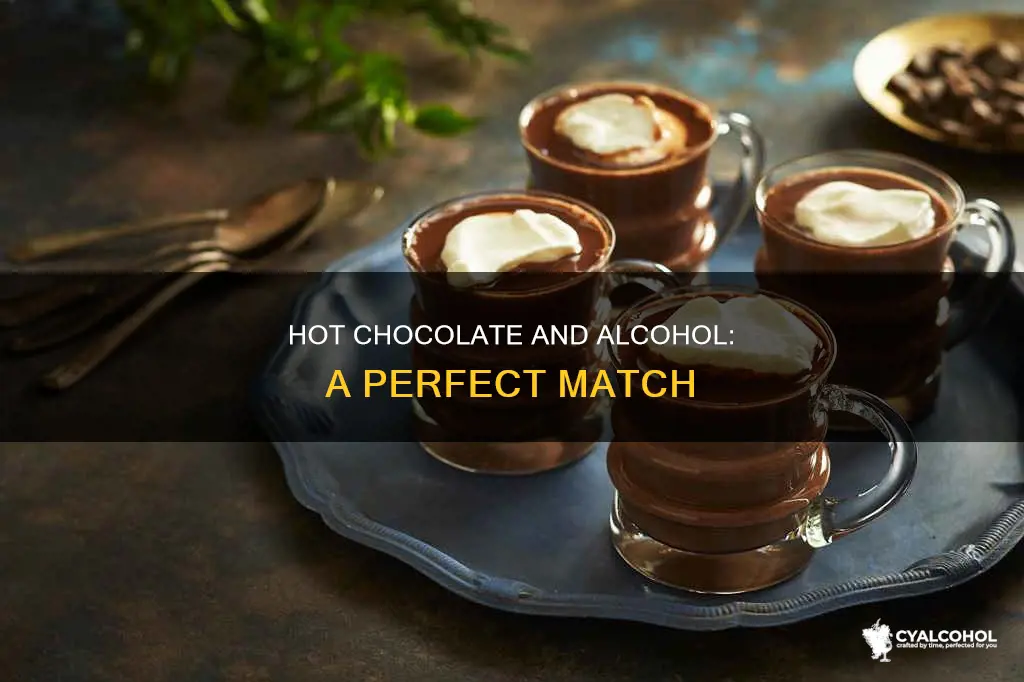what type of alcohol do you put in hot chocolate