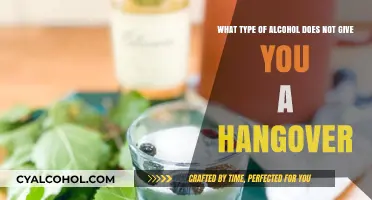 Alcohol and Hangovers: Avoiding the Morning-After Blues