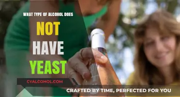 Yeast-Free Alcohol Options: Exploring Drinks Without Fermentation Processes