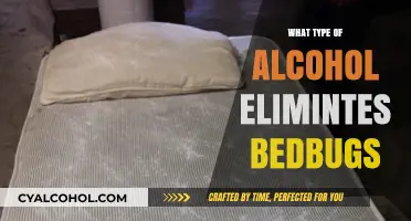 Natural Remedies: Can Certain Types of Alcohol Eliminate Bedbugs?
