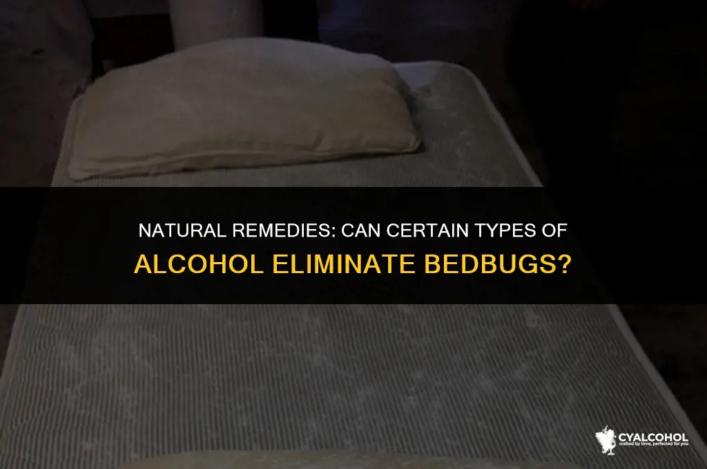 what type of alcohol elimintes bedbugs