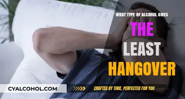 Best Alcohol Choices for Minimizing Hangovers: A Guide to Gentle Drinks