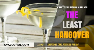 Alcohol and Hangovers: Strategies for a Pain-Free Morning