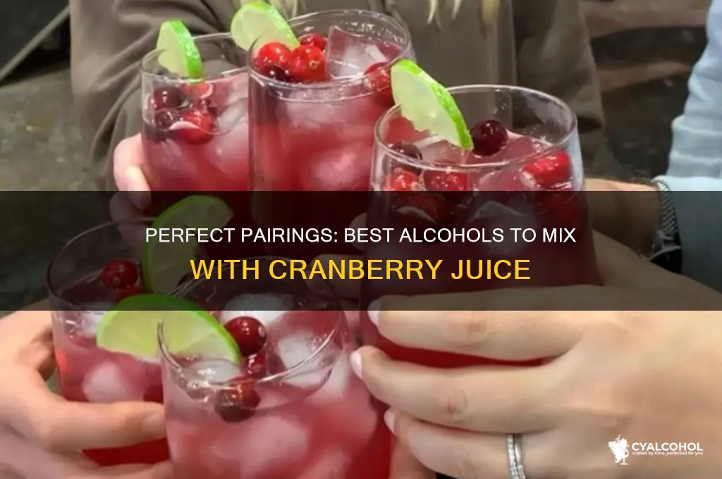 what type of alcohol goes with cranberry juice