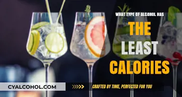 Low-Calorie Alcohol Guide: Discover the Lightest Drink Options