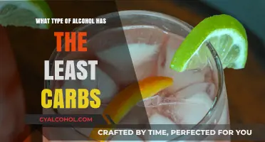 Low-Carb Alcohol Guide: Discover Drinks with Minimal Carbohydrates