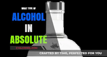 Exploring the Pure Spirit: What Type of Alcohol is in Absolut?