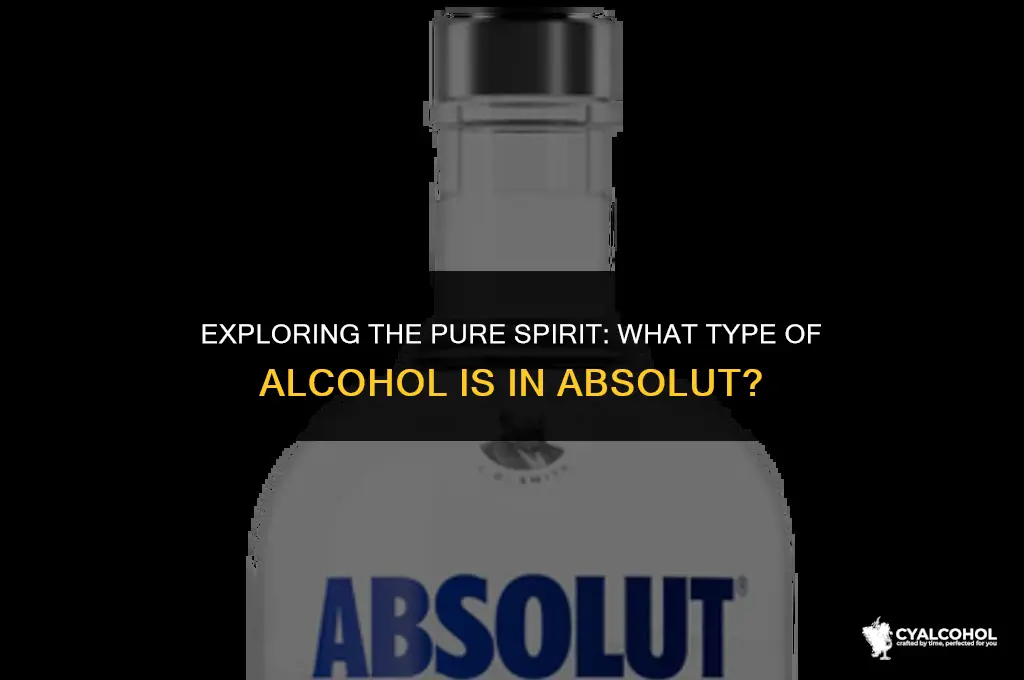 what type of alcohol in absolute