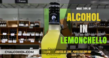 Exploring the Spirit: What Type of Alcohol Defines Limoncello?