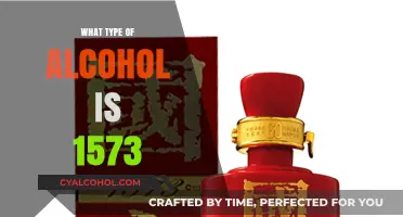 Exploring the Spirit of 1573: A Journey Through Time and Taste