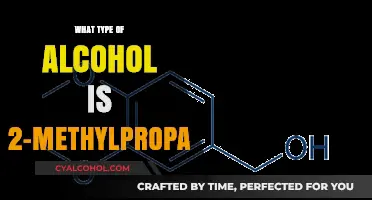 Chemistry of 2-Methylpropan-1-ol: Alcohol Classification
